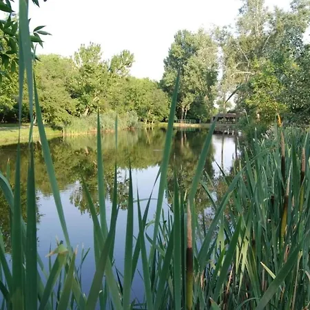 Hagyomanyt Oerzo Egyesuelet Pacir